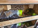 Terrarium 100x40x40, Dieren en Toebehoren, Reptielen en Amfibieën | Toebehoren, Ophalen, Zo goed als nieuw, Terrarium of Paludarium