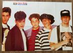 Poster New Kids On The Block NKOTB / EMF, Verzamelen, Gebruikt, Verzenden, Deurposter of groter, Rechthoekig Liggend