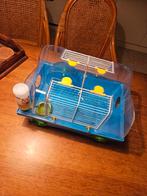 Hamster kooi, Dieren en Toebehoren, Kooi, Minder dan 75 cm, Hamster, Ophalen