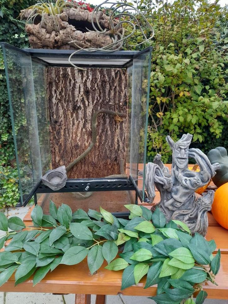 Exo terra terrarium, Dieren en Toebehoren, Vogels | Overige Vogels