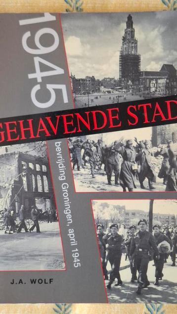 GRONINGEN DE GEHAVENDE STAD  beschikbaar voor biedingen