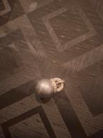 Ti Sento Zilveren Hanger, Sieraden, Tassen en Uiterlijk, Kettinghangers, Overige voorstellingen, Ophalen of Verzenden, Zo goed als nieuw