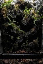 Exo terra 30x30x45, Ophalen, Zo goed als nieuw