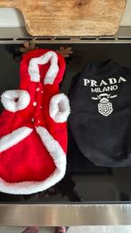 Kerstjasjes xs, Dieren en Toebehoren, Ophalen of Verzenden, Zo goed als nieuw