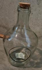 Planten terrarium., Ophalen of Verzenden, Zo goed als nieuw