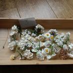 Bloemen paperflowers voor oa kaarten maken 3, Hobby en Vrije tijd, Ophalen of Verzenden, Nieuw, Overige thema's, Overige typen