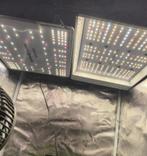 Kweekspullen, Tuin en Terras, Kweekspullen, Ophalen, Gebruikt, Kweeklamp