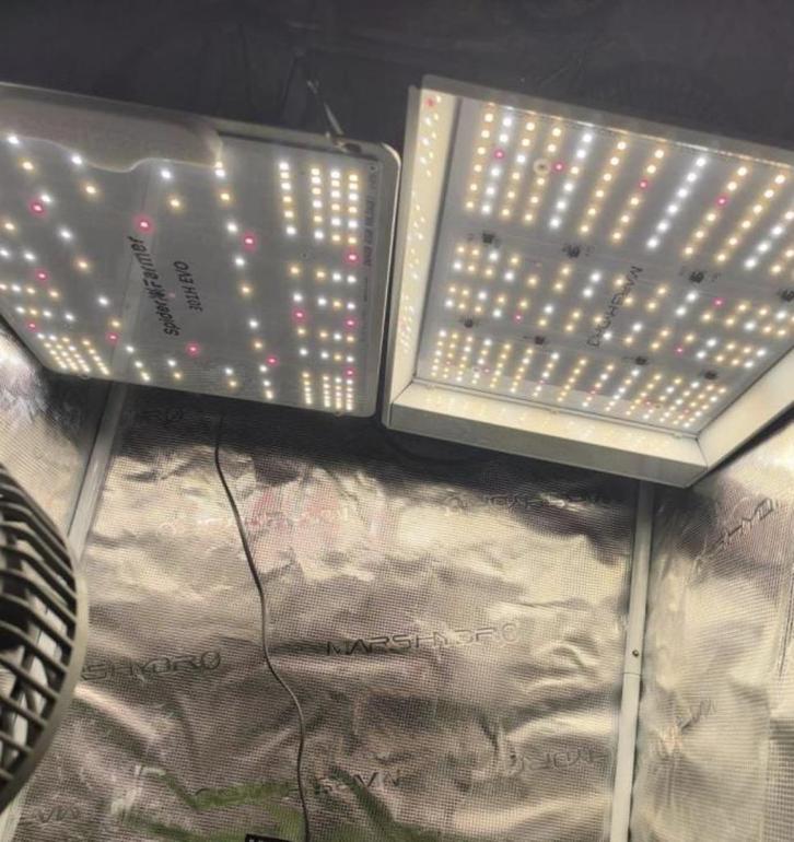 Kweekspullen, Tuin en Terras, Kweekspullen, Gebruikt, Kweeklamp, Ophalen