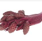 Decoratieve takken, Ophalen, Nieuw