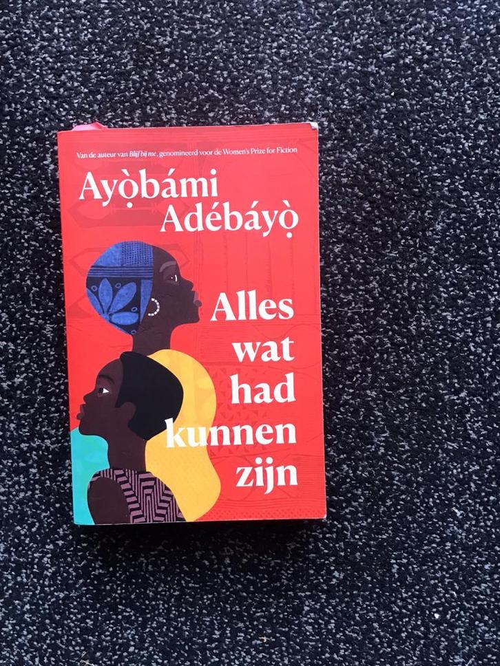 Alles wat had kunnen zijn, Boeken, Literatuur, Gelezen, Ophalen of Verzenden