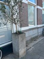 Stenen plantenbak ideaal voor bomen enplanten, Tuin en Terras, Bloembakken en Plantenbakken, Steen, Ophalen of Verzenden, Zo goed als nieuw