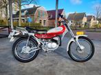 Yamaha TY 50, 5 versnellingen, Maximaal 45 km/u, 50 cc, Yamaha