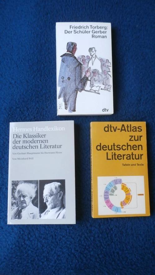 dtv-Atlas zur deutschen Literatur - als nieuw - 10,00 , Boeken, Taal | Duits, Zo goed als nieuw, Non-fictie, Ophalen of Verzenden
