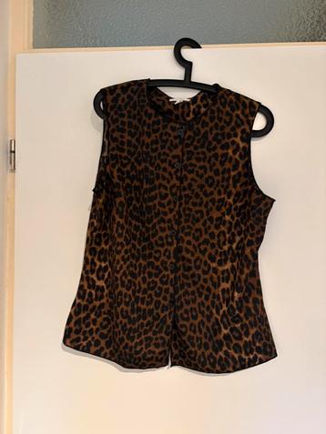 Gilet beschikbaar voor biedingen