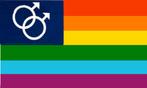 Gay pride pride vlaggen, Nieuw, Verzenden
