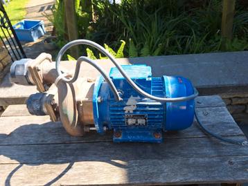 Waterpomp, zwembad en/of vijver  beschikbaar voor biedingen