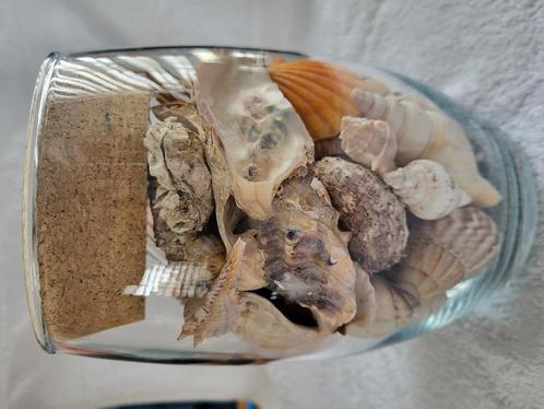 De pot is zorgvuldig samengesteld en afgesloten, Huis en Inrichting, Woonaccessoires | Wanddecoraties, Nieuw, Ophalen of Verzenden