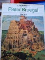 Pieter Bruegel - Dieter Ronte, Boeken, Ophalen of Verzenden, Gelezen, Fotografen, Dieter Ronte