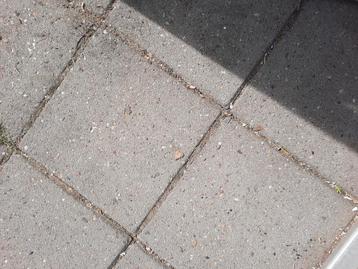 Gratis ophalen stoeptegels beschikbaar voor biedingen