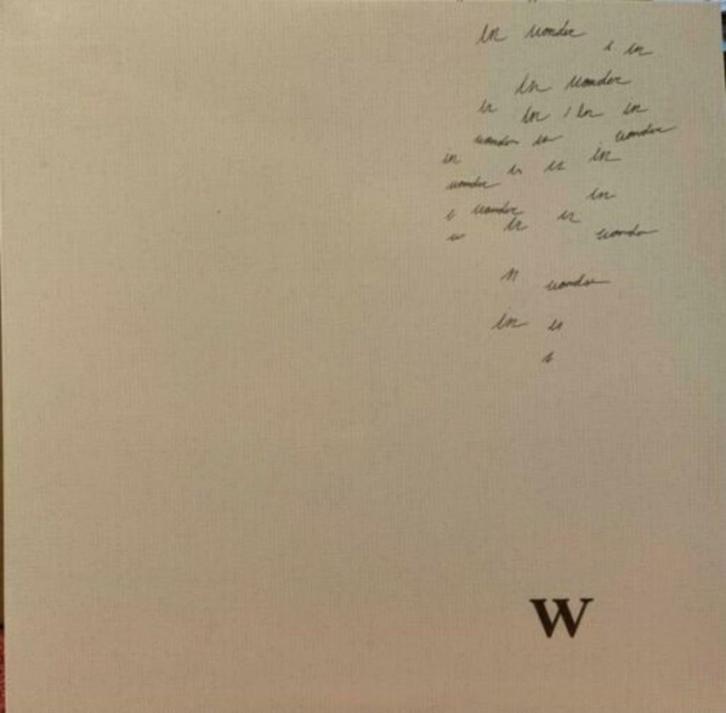 Shawn Mendes - Wonder (NIEUW & SEALED), Cd's en Dvd's, Vinyl Singles, Nieuw in verpakking, Ophalen of Verzenden