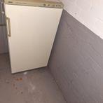 Bosch Vrieskast GS 5L 21 - 170 Liter (bezorging), Gebruikt, 120 tot 140 cm, Energieklasse A of zuiniger, Ophalen