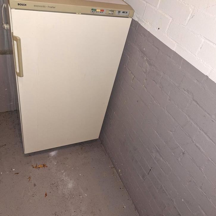 Bosch Vrieskast GS 5L 21 - 170 Liter (bezorging), Witgoed en Apparatuur, Vriezers en Diepvrieskisten, Gebruikt, Vrijstaand, Vrieskast