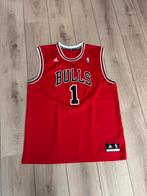 Chicago Bulls Jersey XL (Adidas), Sport en Fitness, Basketbal, Ophalen of Verzenden, Zo goed als nieuw, Kleding