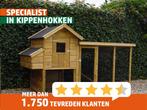 Kippenhok Elst | Mooi robuust verblijf | Deskundig advies, Vrouwelijk, Kip