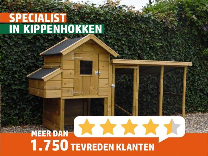 Kippenhok Elst | Mooi robuust verblijf | Deskundig advies, Dieren en Toebehoren, Pluimvee, Kip, Vrouwelijk