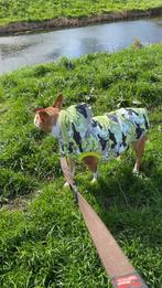 Honden winterjas, Ophalen of Verzenden, Hondenjas