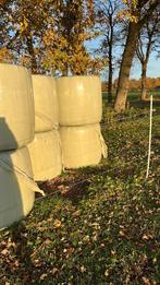 midibalen hooi 1 e snee, Dieren en Toebehoren, Dierenvoeding, Ophalen, Vee