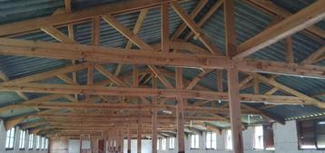 interesse peiling. houten spanten 10 meter beschikbaar voor biedingen