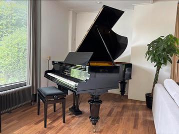 Bechstein model B vleugel (203 cm)  (taxatie: 11.500 euro) beschikbaar voor biedingen