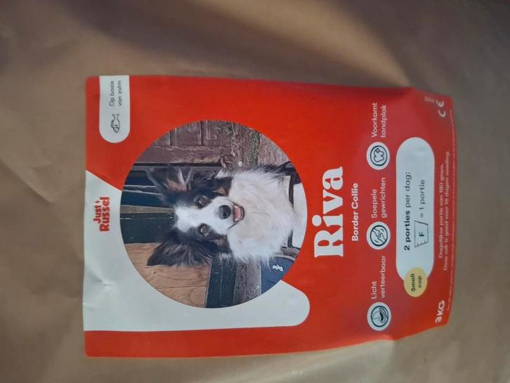 Puppy brokken, gratis, Dieren en Toebehoren, Dierenvoeding, Hond, Ophalen