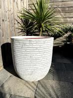 Capi Europe Bloempot, Tuin en Terras, Bloempotten, Ophalen, Kunststof, Gebruikt, 40 cm of meer