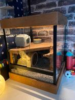 Hamster muizen terrarium wandelende takken, Kooi, Minder dan 75 cm, Hamster, Ophalen