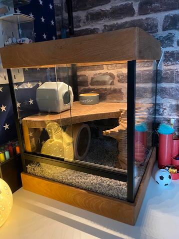 Hamster muizen terrarium kooi bak verlichting schuifdeur beschikbaar voor biedingen