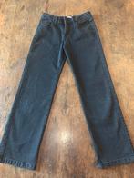 Glitter broek, Broek, Meisje, Nieuw, Ophalen of Verzenden