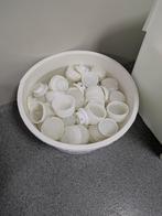 50 Kaasmallen - 500 gram, Ophalen of Verzenden