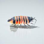 Divers aanbod pissebedden!, Dieren en Toebehoren, Insecten en Spinnen, Overige soorten