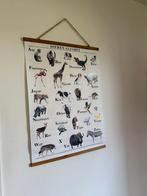Alfabet dieren poster, Antiek en Kunst, Ophalen of Verzenden, Natuur en Biologie