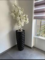 Mooi vazen met bloesem boom, Ophalen of Verzenden, Volle zon, Overige soorten