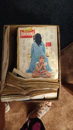 DOOS VOL Panorama Bladen Magazines Tijdschrift Jaren 50 + 60, Ophalen, 1940 tot 1960, Tijdschrift