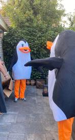 Pinguïn pakken, Ophalen, Gebruikt, Carnaval
