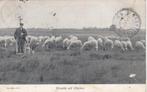Dieren 1907, Verzenden, Voor 1920, Gelopen, Gelderland