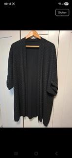 Blazer, Kleding | Dames, Grote Maten, Ophalen of Verzenden, Zo goed als nieuw, Zwart, Jasje of Colbert