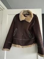 replay suede teddy winterjas, Maat 38/40 (M), Bruin, Verzenden, Replay
