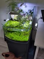 Paludarium met waterval, Dieren en Toebehoren, Ophalen, Zo goed als nieuw