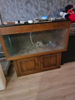 Aquarium te koop, Dieren en Toebehoren, Vissen | Aquaria en Toebehoren, Ophalen, Leeg aquarium