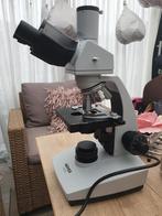 Microscoop voor oa lba en droogbloed, Ophalen of Verzenden, Gebruikt, 400x tot 1000x, Biologische microscoop